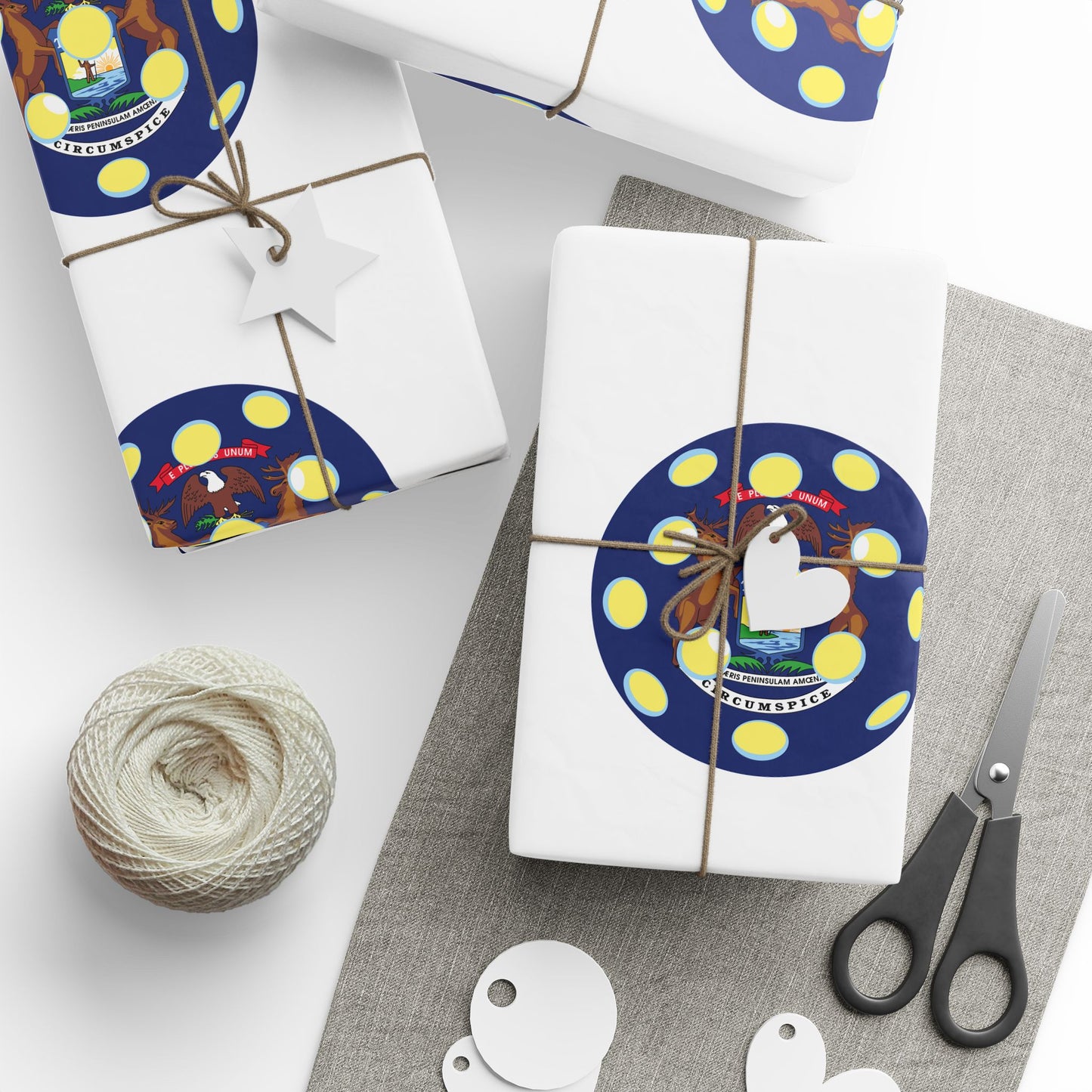 Pickleball Gift Wrap, Michigan State Flag