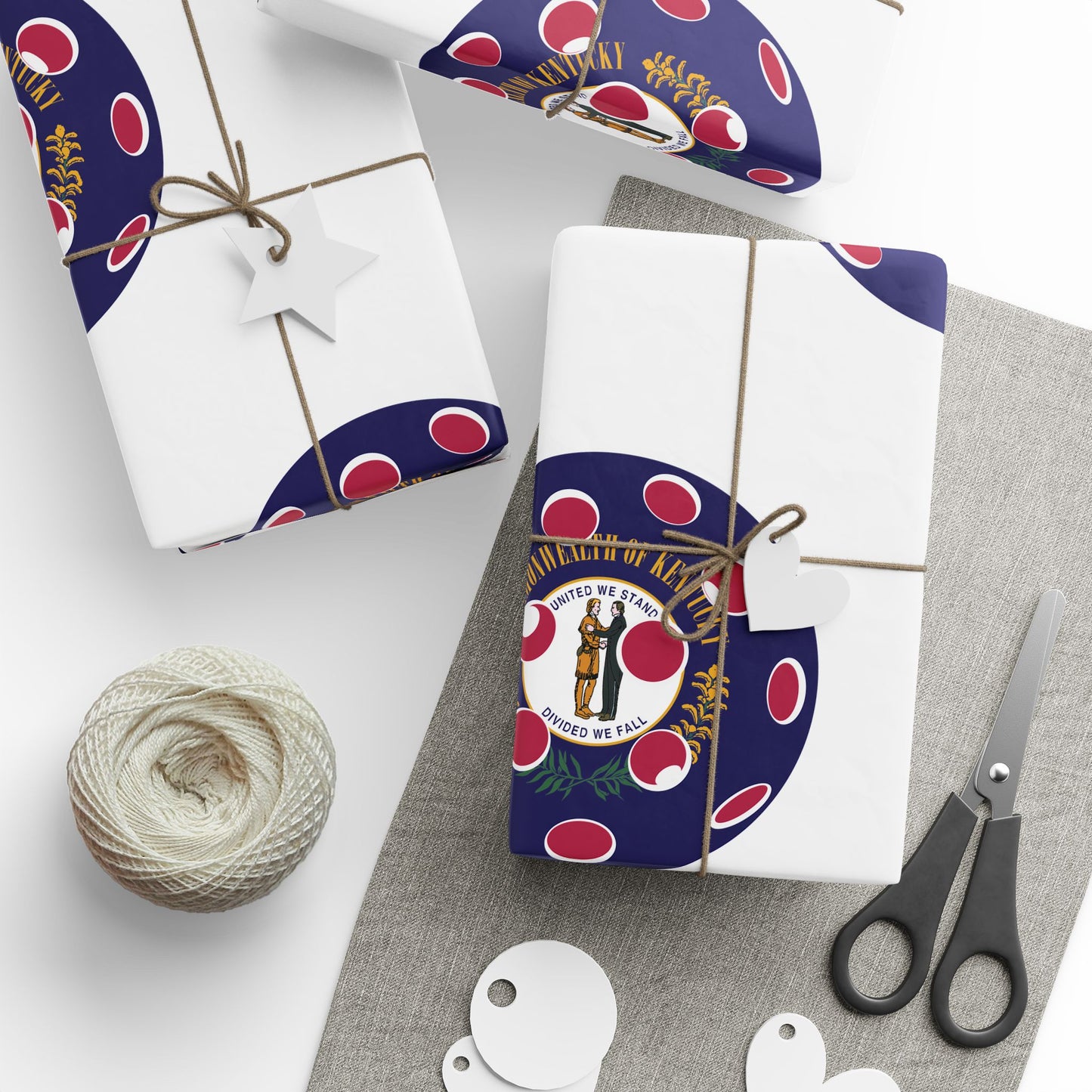 Pickleball Gift Wrap, Kentucky State Flag